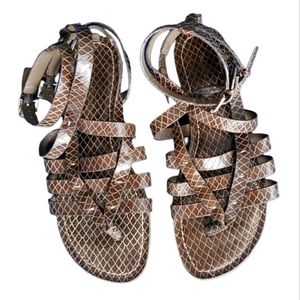 Banana Republic brown snake leather double buckle flat gladiator sandals 5.5